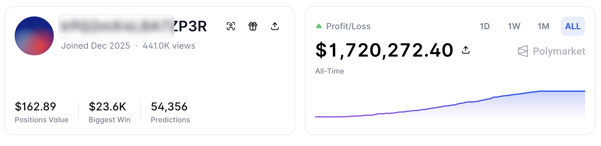 Redacted Polymarket account view used to illustrate copied trader discovery.